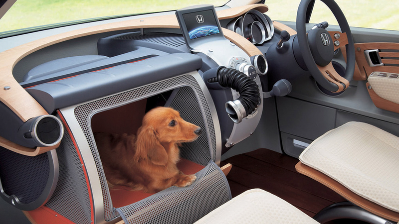 Illustration for article titled Honda Once Built a Concept Car With a Glove Box for Your Dog